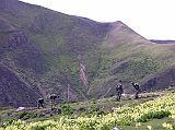 Tibet Kailash 02 Nyalam 05 Soldiers Tilling Fields